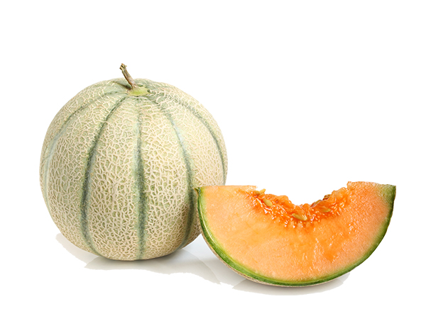 600_MelonRetatoWB