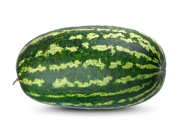 600_WaterMelon_ScuroF1