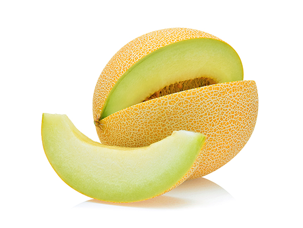 600_MelonVermeerB210